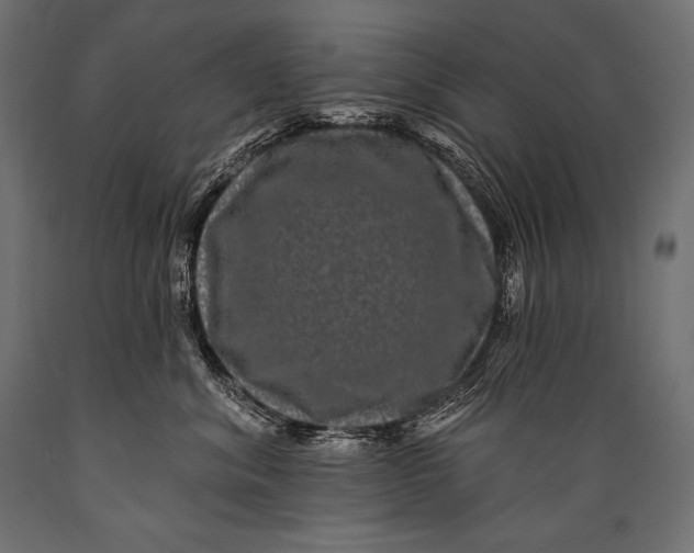 X0000088880620200706291605