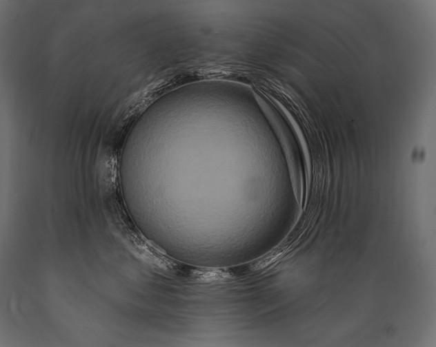 X0000088880621200706291605