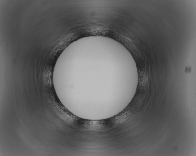 X0000088880622200706291605