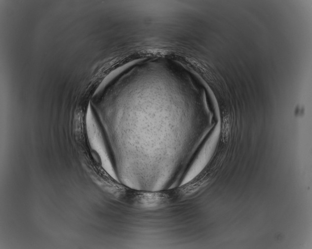 X0000088880623200706291605