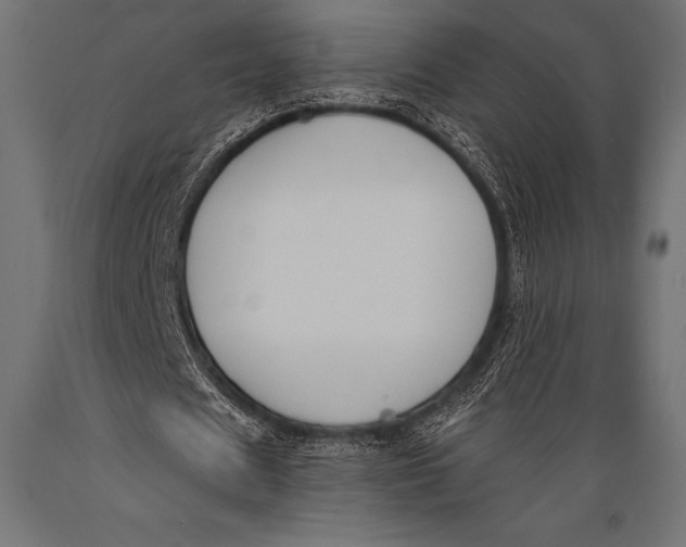 X0000088880625200706291604