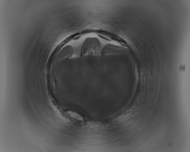 X0000088880626200706291604