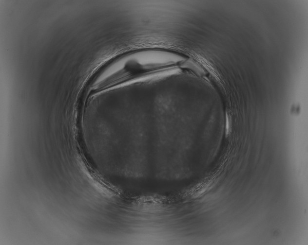 X0000088880627200706291604