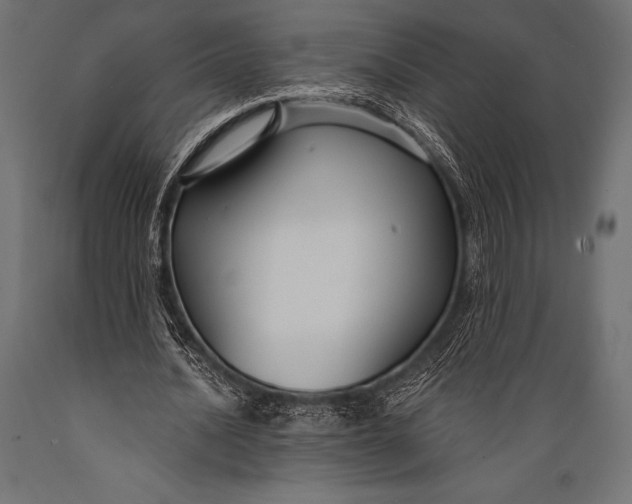 X0000088880628200706291604