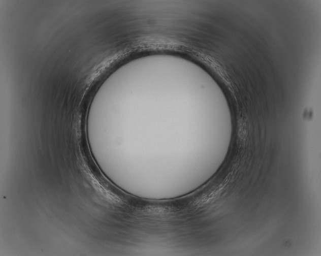 X0000088880629200706291604