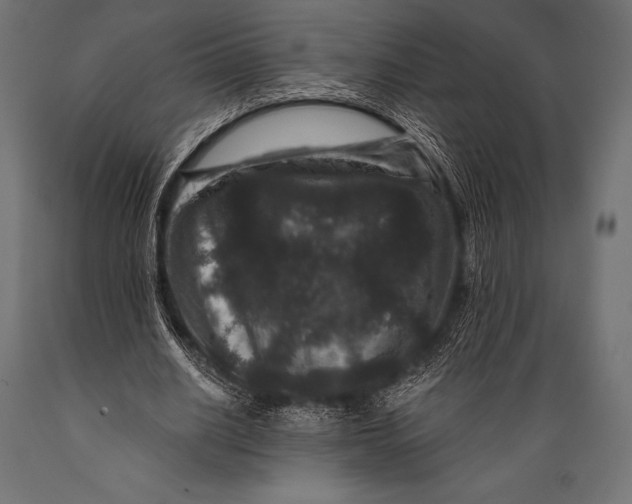 X0000088880630200706291604