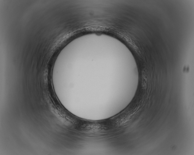 X0000088880631200706291604