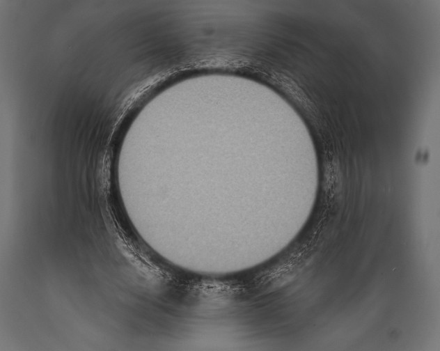 X0000088880632200706291604