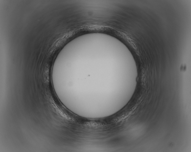 X0000088880633200706291604