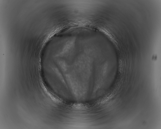 X0000088880634200706291604