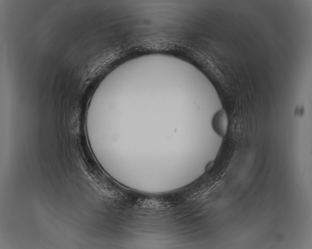 X0000088880635200706291604