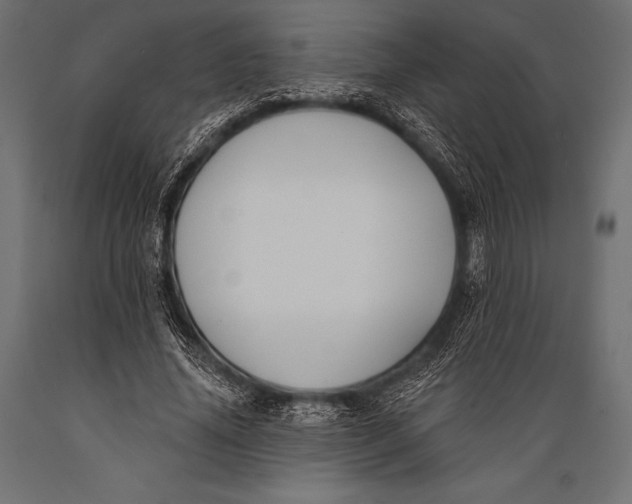 X0000088880636200706291604