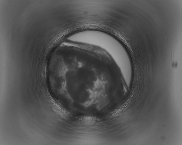 X0000088880637200706291604