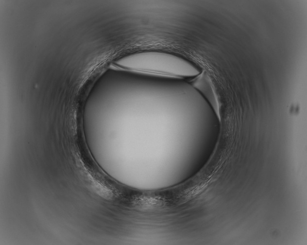 X0000088880638200706291604