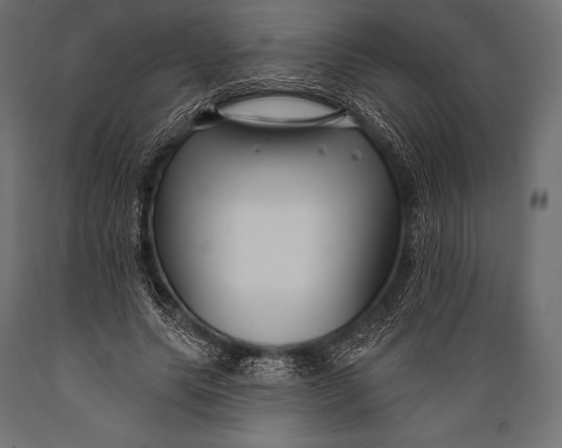 X0000088880639200706291604