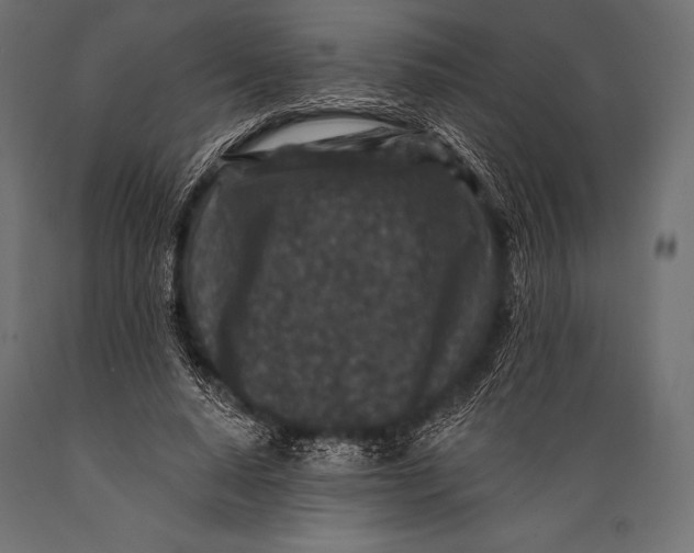 X0000088880640200706291604