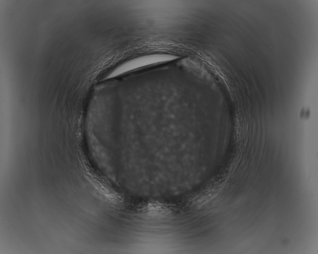 X0000088880641200706291604