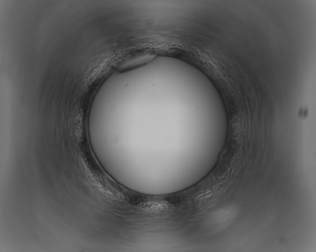 X0000088880642200706291604