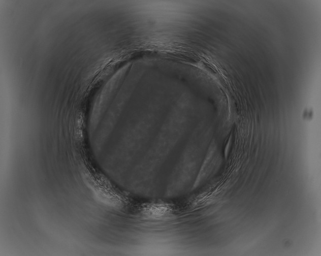 X0000088880643200706291604