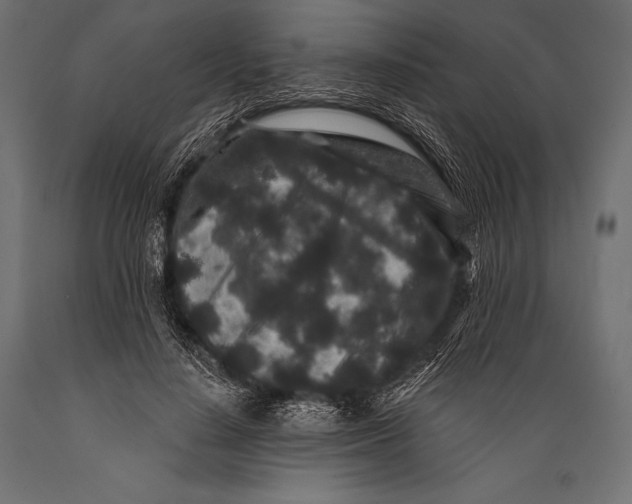 X0000088880644200706291604