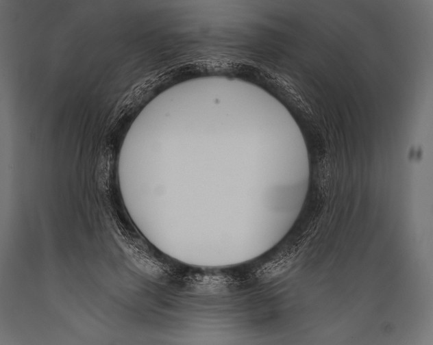 X0000088880645200706291604