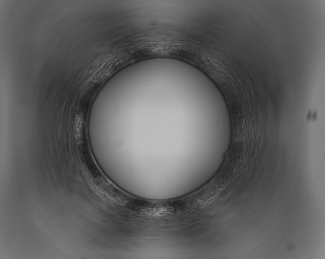 X0000088880646200706291604