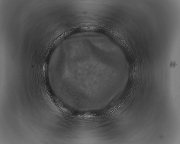 X0000088880647200706291604