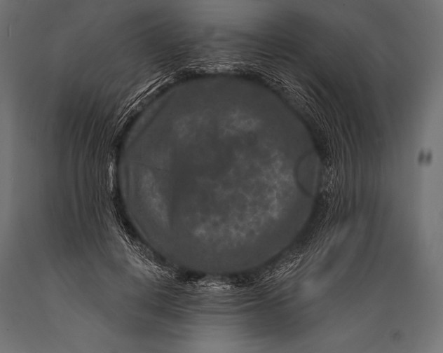 X0000088880648200706291604