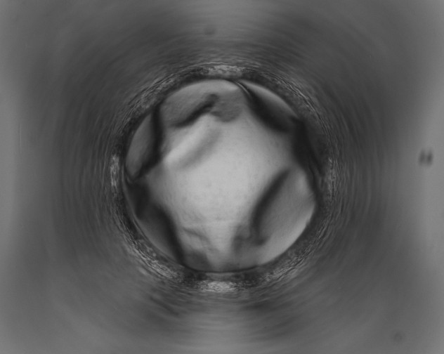 X0000088880649200706291604