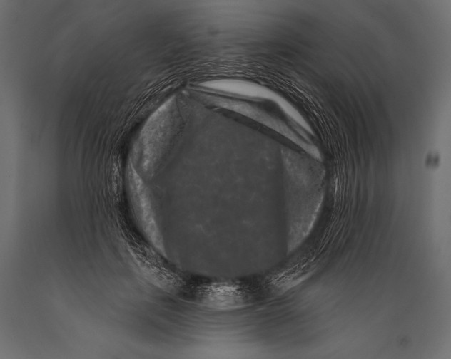 X0000088880651200706291604