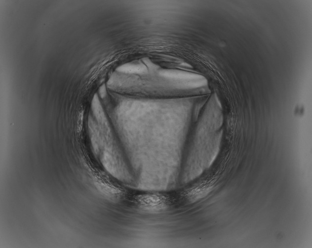 X0000088880652200706291604