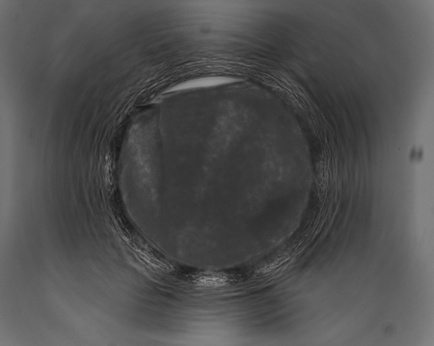 X0000088880653200706291604