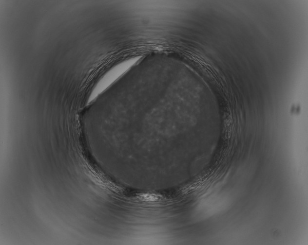 X0000088880654200706291604