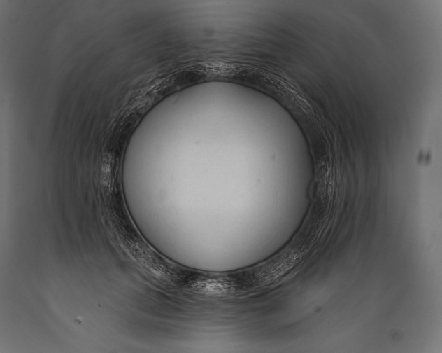 X0000088880655200706291604