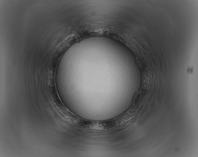 X0000088880656200706291604