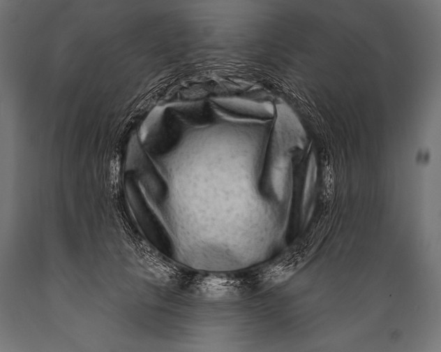 X0000088880657200706291604