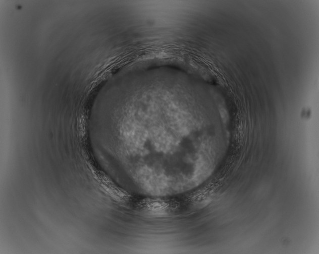 X0000088880658200706291604