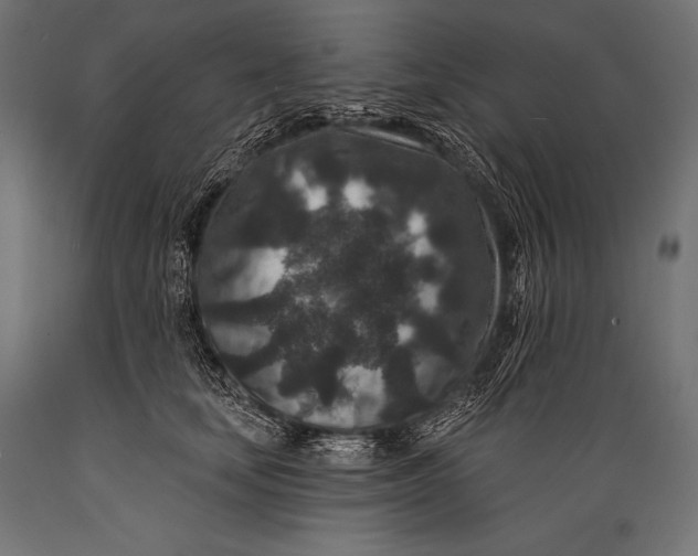 X0000088880659200706291604