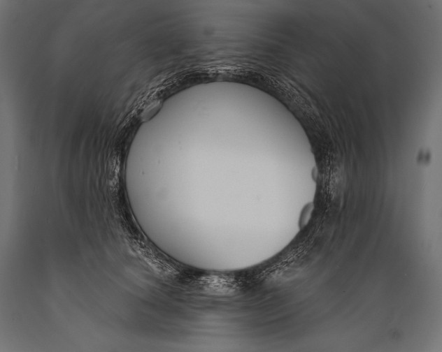 X0000088880660200706291604