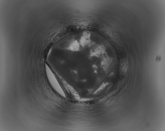 X0000088880661200706291604