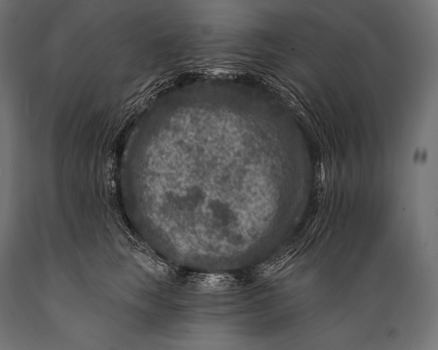 X0000088880663200706291604