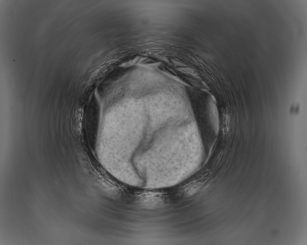 X0000088880664200706291604