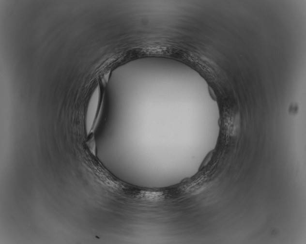 X0000088880665200706291604