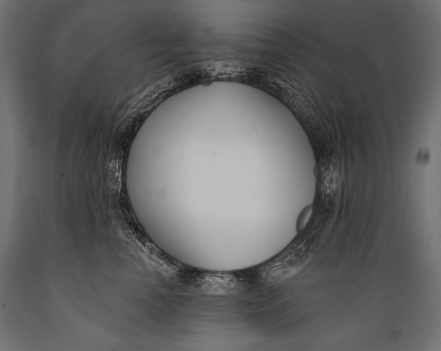 X0000088880666200706291604