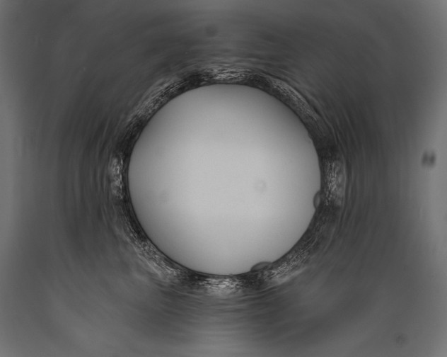 X0000088880667200706291604