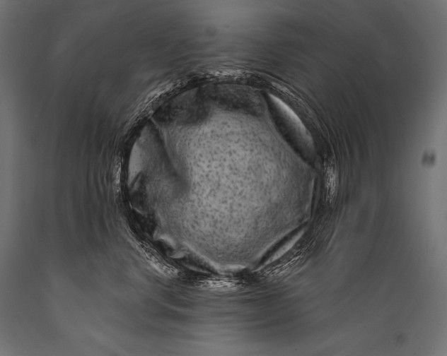 X0000088880668200706291604