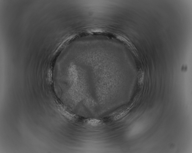 X0000088880669200706291605