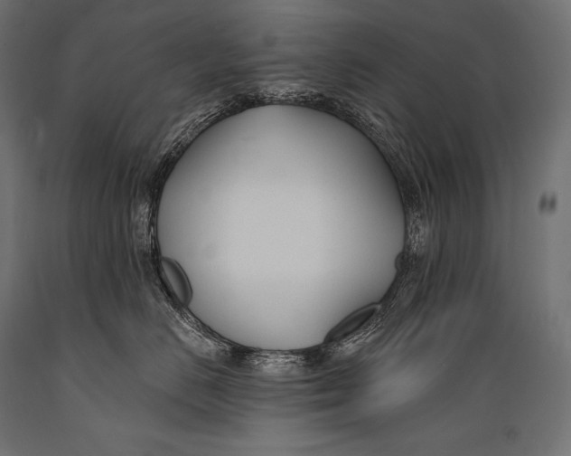 X0000088880670200706291605