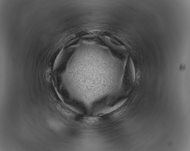 X0000088880671200706291605