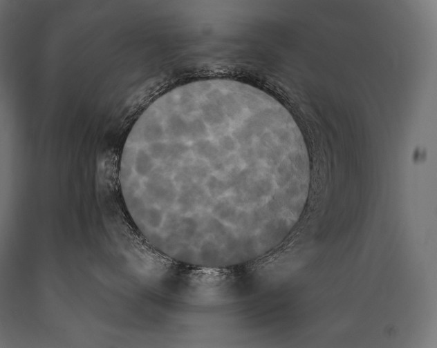 X0000088880672200706291605